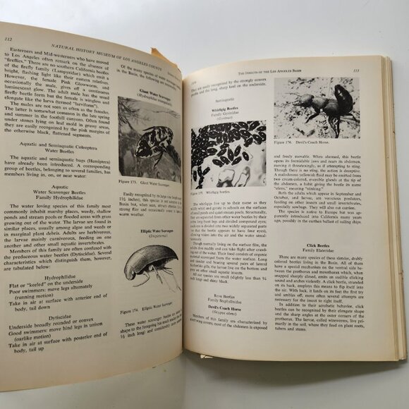 The Insects of the Los Angeles Basin Vintage Book by Charles L. Hogue 19… - Picture 12 of 16